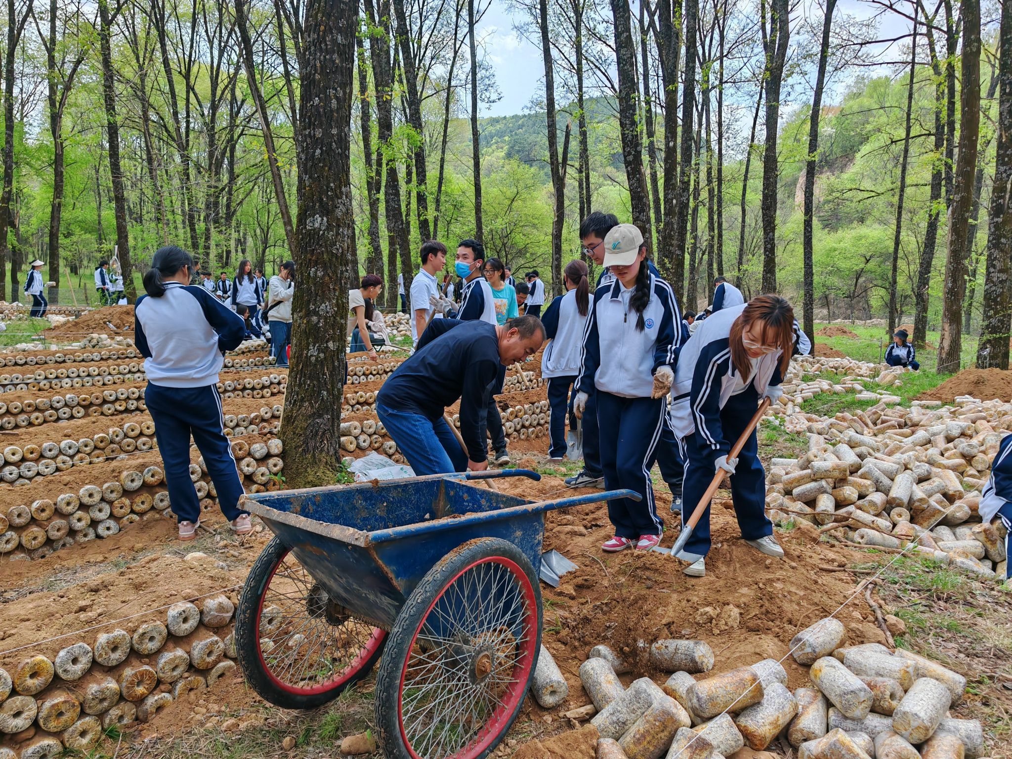 宜君县第二中学校长图片